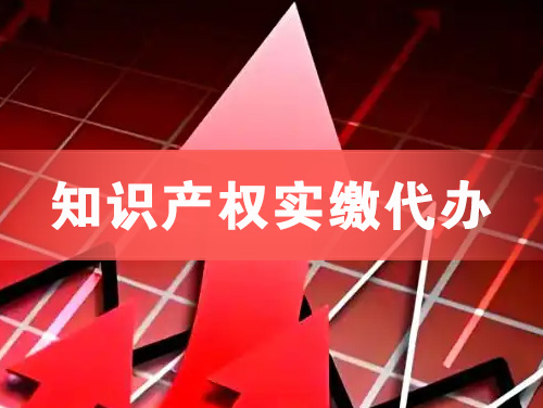 安宁知识产权实缴资本代办